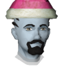 GIMFluxert