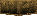 Gold Nova