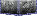 SignetMaxxing